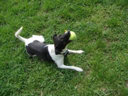 Resize of DSC01808.JPG